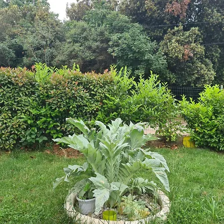 Seherzada Apartament *
